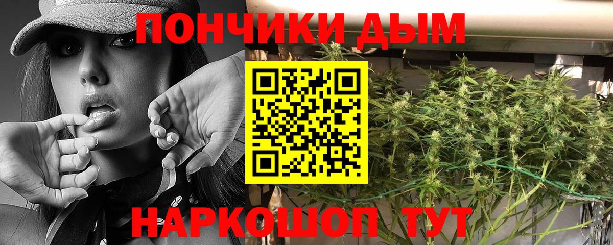 Конопля индика Ржев